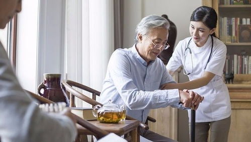 Shanghai opens college focused on elderly care services